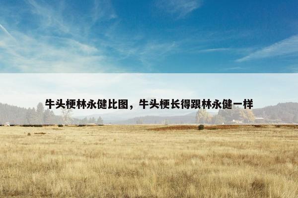 牛头梗林永健比图，牛头梗长得跟林永健一样