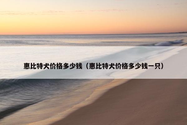 惠比特犬价格多少钱（惠比特犬价格多少钱一只）