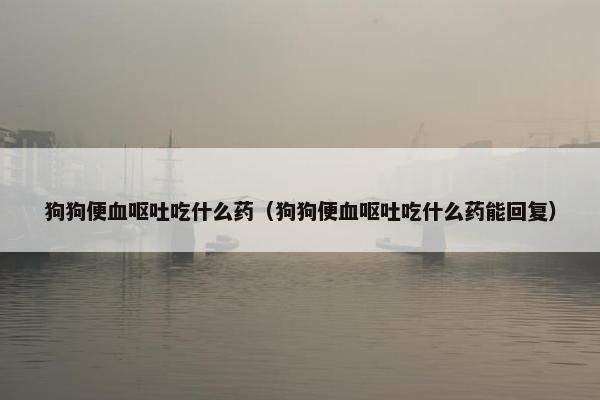 狗狗便血呕吐吃什么药（狗狗便血呕吐吃什么药能回复）