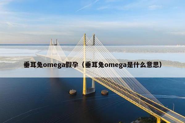 垂耳兔omega假孕（垂耳兔omega是什么意思）