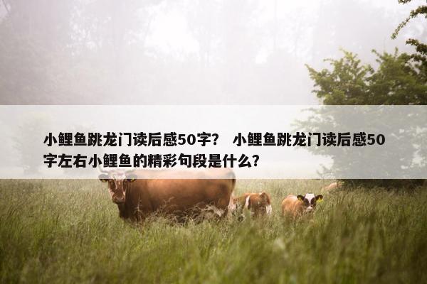 小鲤鱼跳龙门读后感50字？ 小鲤鱼跳龙门读后感50字左右小鲤鱼的精彩句段是什么？