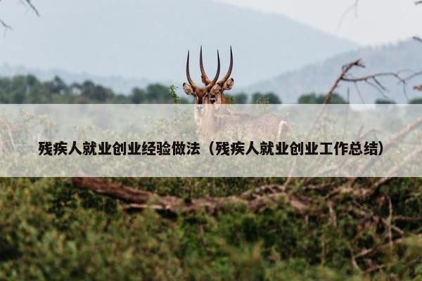 残疾人就业创业经验做法（残疾人就业创业工作总结）