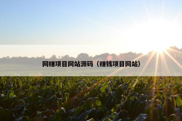 网赚项目网站源码（赚钱项目网站）