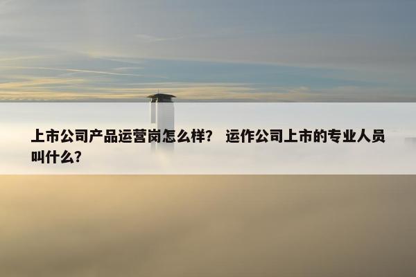 上市公司产品运营岗怎么样？ 运作公司上市的专业人员叫什么？