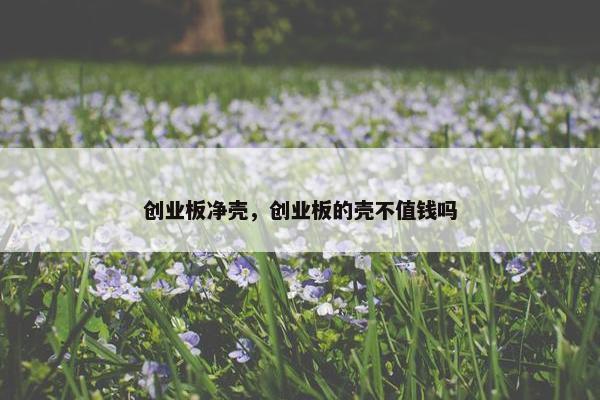 创业板净壳，创业板的壳不值钱吗
