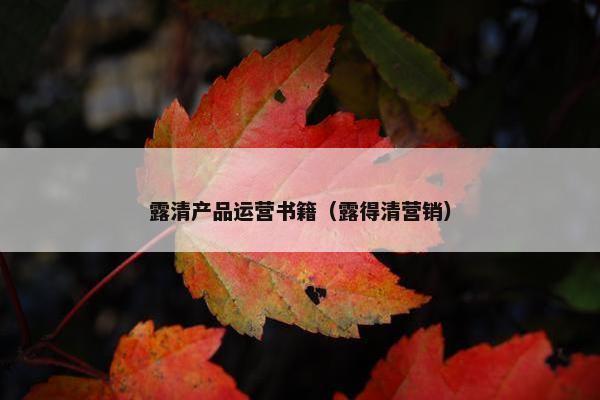 露清产品运营书籍（露得清营销）