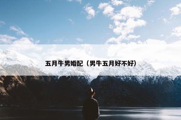 五月牛男婚配（男牛五月好不好）