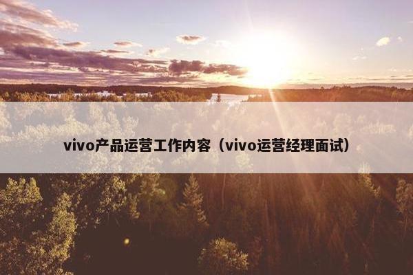 vivo产品运营工作内容（vivo运营经理面试）