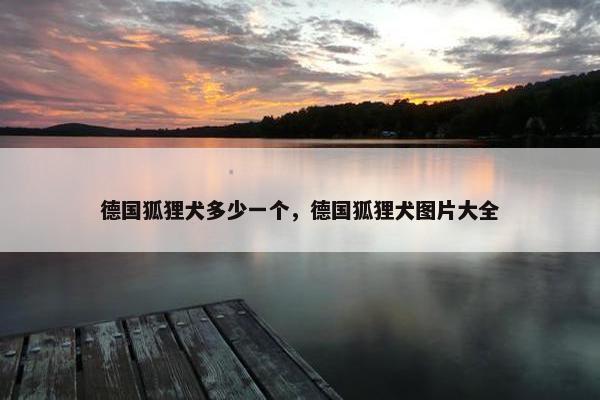 德国狐狸犬多少一个，德国狐狸犬图片大全