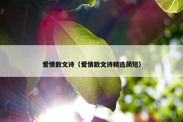爱情散文诗（爱情散文诗精选简短）