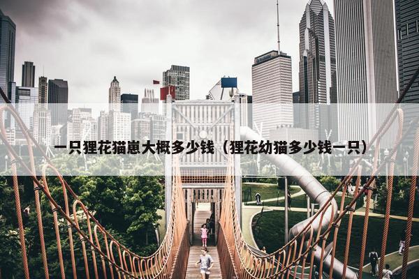 一只狸花猫崽大概多少钱（狸花幼猫多少钱一只）