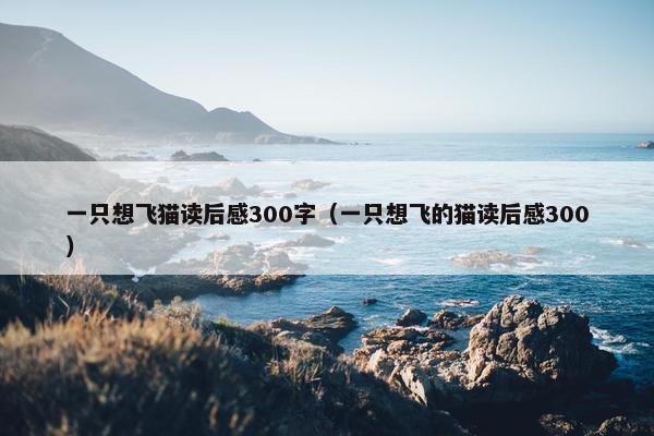 一只想飞猫读后感300字（一只想飞的猫读后感300）