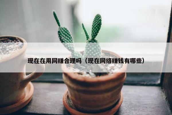 现在在用网赚合理吗（现在网络赚钱有哪些）