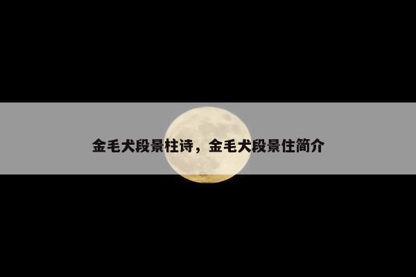 金毛犬段景柱诗，金毛犬段景住简介