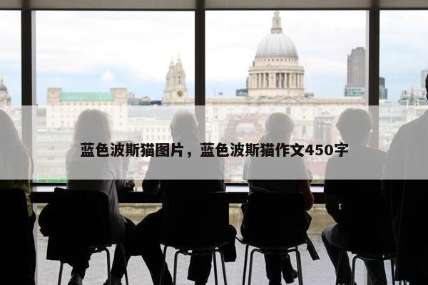 蓝色波斯猫图片，蓝色波斯猫作文450字
