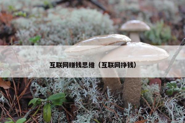 互联网赚钱思维（互联网挣钱）