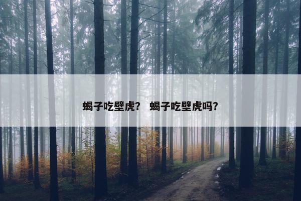 蝎子吃壁虎？ 蝎子吃壁虎吗？