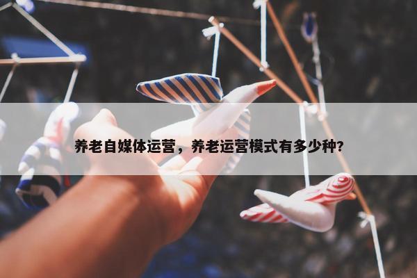 养老自媒体运营，养老运营模式有多少种?