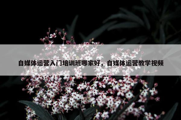 自媒体运营入门培训班哪家好，自媒体运营教学视频