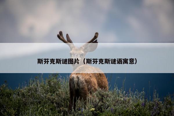 斯芬克斯谜图片（斯芬克斯谜语寓意）