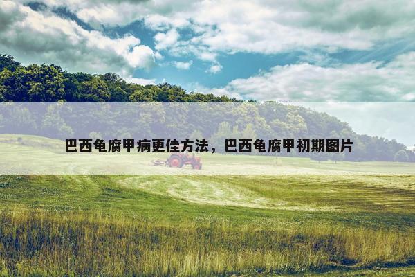 巴西龟腐甲病更佳方法，巴西龟腐甲初期图片