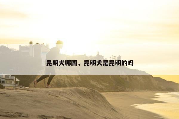 昆明犬哪国，昆明犬是昆明的吗