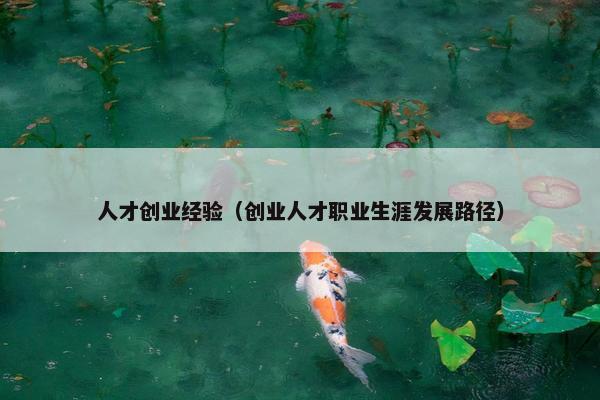 人才创业经验（创业人才职业生涯发展路径）