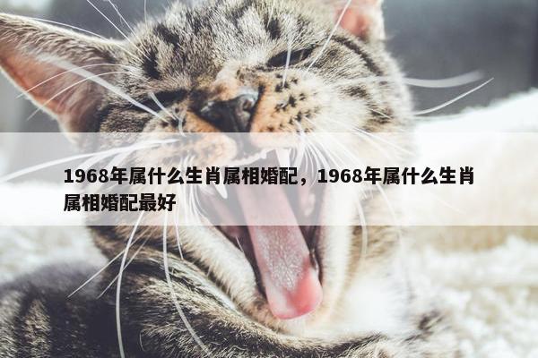 1968年属什么生肖属相婚配，1968年属什么生肖属相婚配最好