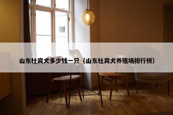 山东杜宾犬多少钱一只（山东杜宾犬养殖场排行榜）