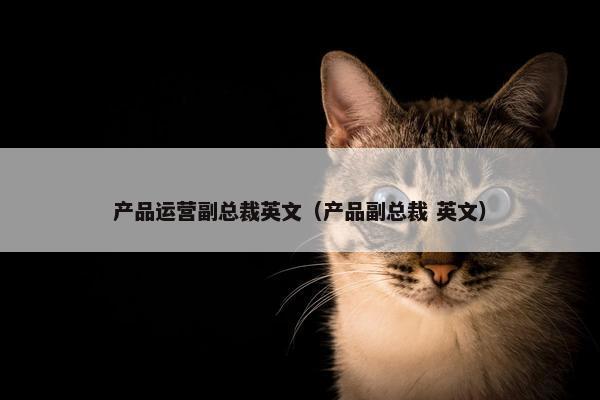产品运营副总裁英文（产品副总裁 英文）