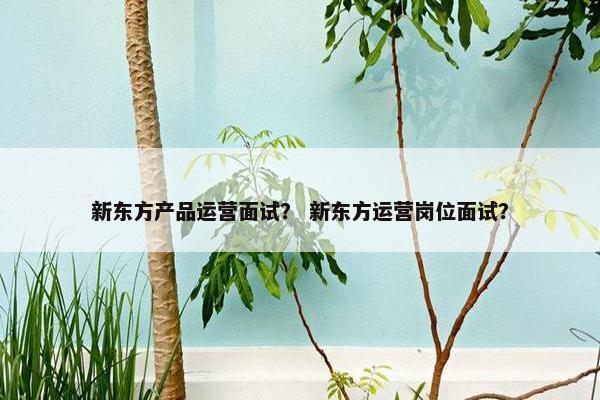 新东方产品运营面试？ 新东方运营岗位面试？