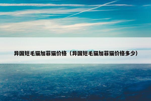 异国短毛猫加菲猫价格（异国短毛猫加菲猫价格多少）