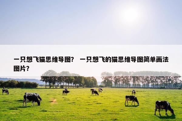 一只想飞猫思维导图？ 一只想飞的猫思维导图简单画法图片？