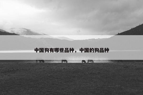 中国狗有哪些品种，中国的狗品种