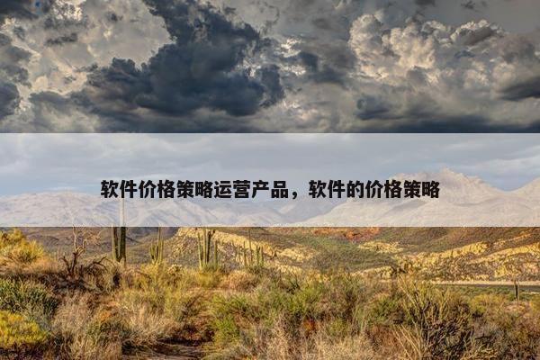 软件价格策略运营产品，软件的价格策略