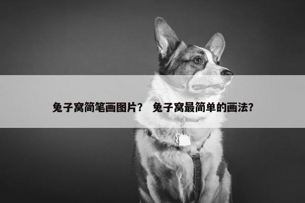 兔子窝简笔画图片？ 兔子窝最简单的画法？