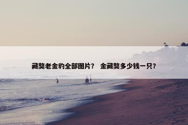 藏獒老金豹全部图片？ 金藏獒多少钱一只？