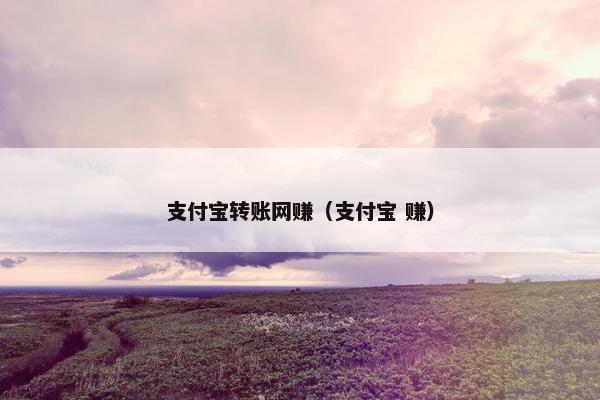 支付宝转账网赚（支付宝 赚）