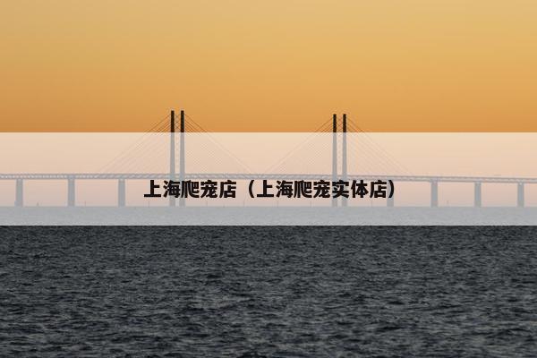 上海爬宠店（上海爬宠实体店）