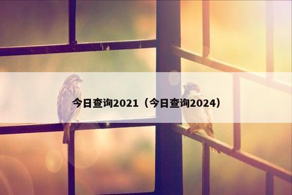 今日查询2021（今日查询2024）