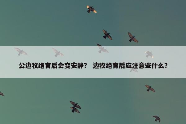 公边牧绝育后会变安静？ 边牧绝育后应注意些什么？