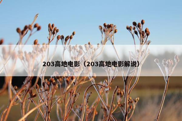 203高地电影（203高地电影解说）