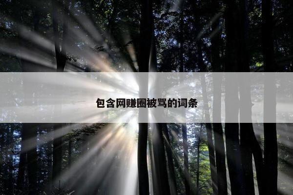 包含网赚圈被骂的词条