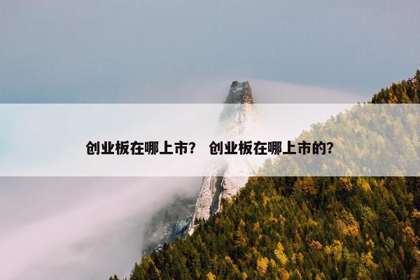 创业板在哪上市？ 创业板在哪上市的？