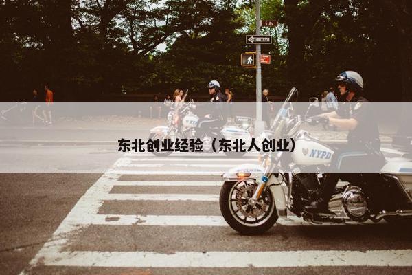 东北创业经验（东北人创业）
