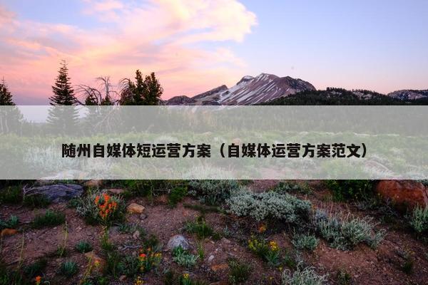 随州自媒体短运营方案（自媒体运营方案范文）