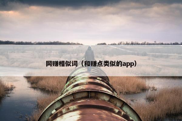 网赚相似词（和赚点类似的app）