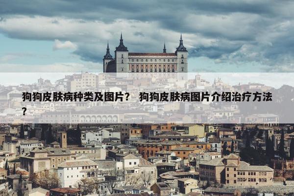 狗狗皮肤病种类及图片？ 狗狗皮肤病图片介绍治疗方法？