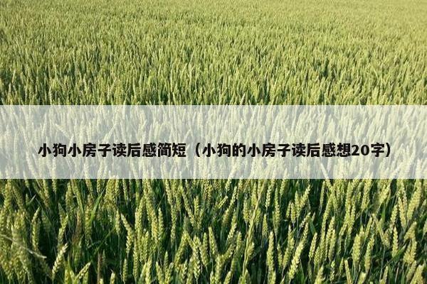 小狗小房子读后感简短（小狗的小房子读后感想20字）