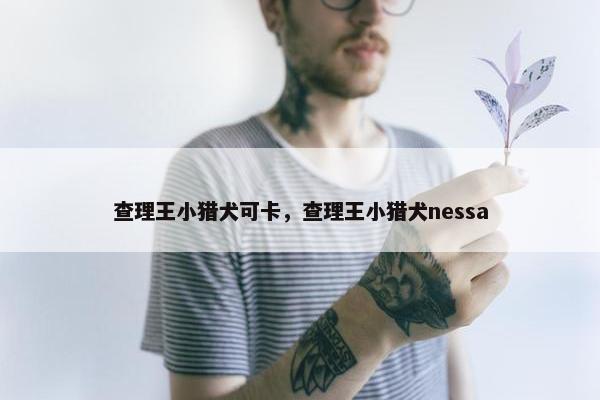 查理王小猎犬可卡，查理王小猎犬nessa